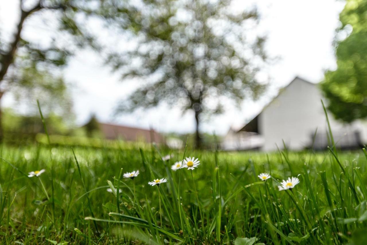 Nengshof Ferienwohnung Wildrose Висмансдорф Экстерьер фото
